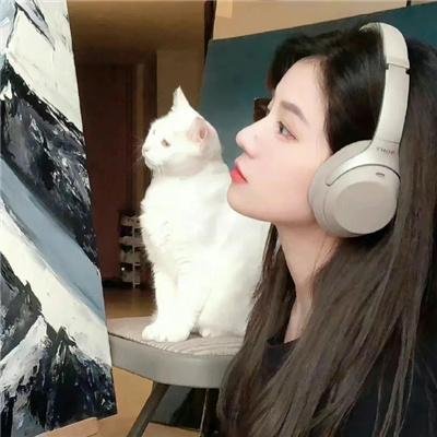 装扮游戏