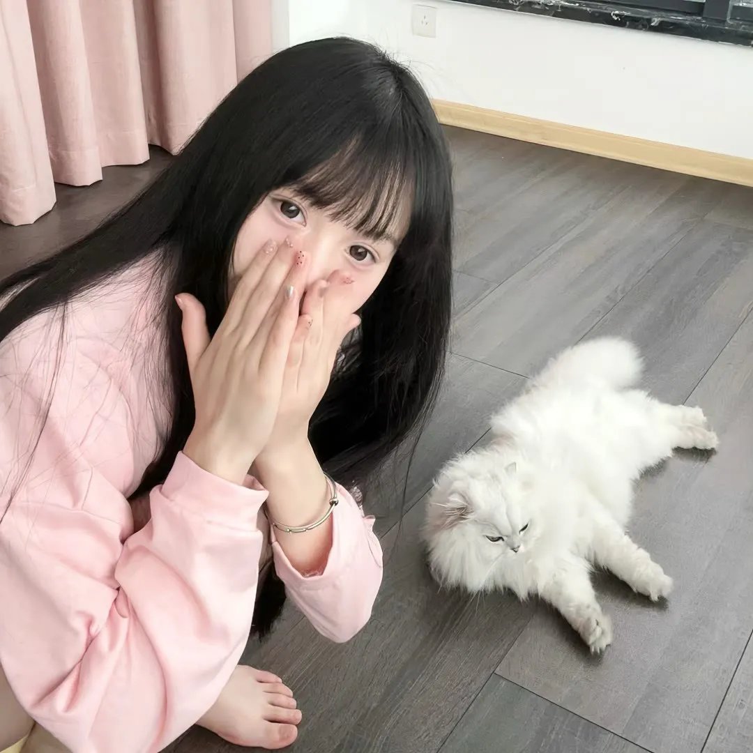 汽车睡眠谋杀案